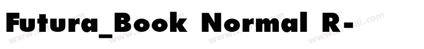 Futura_Book Normal R字体转换